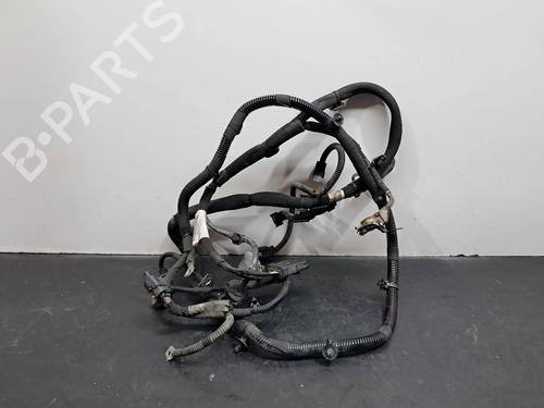 Wiring harness PEUGEOT 208 I (CA_, CC_) 1.6 HDi | BP29521461E16