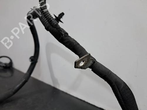 Wiring harness PEUGEOT 208 I (CA_, CC_) 1.6 HDi | BP29521461E16