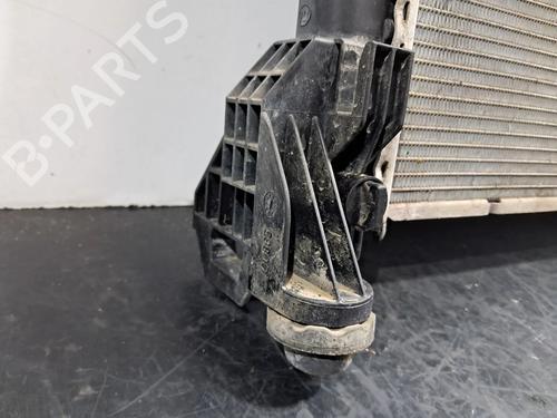 Water radiator MERCEDES-BENZ VITO Van (W447) 116 CDI (447.601, 447.603, 447.605) | BP29586729M31 