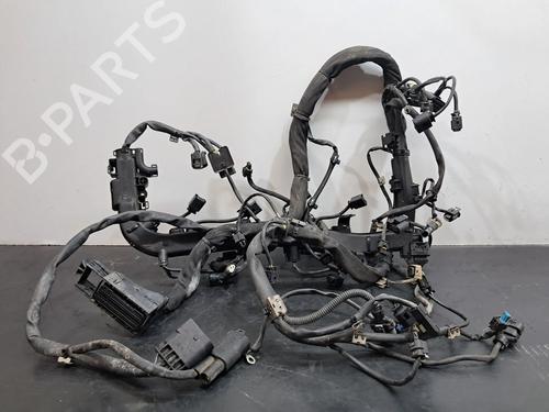 Wiring harness MERCEDES-BENZ VITO Bus (W639) 116 CDI (639.701, 639.703, 639.705) | BP29591609E16 