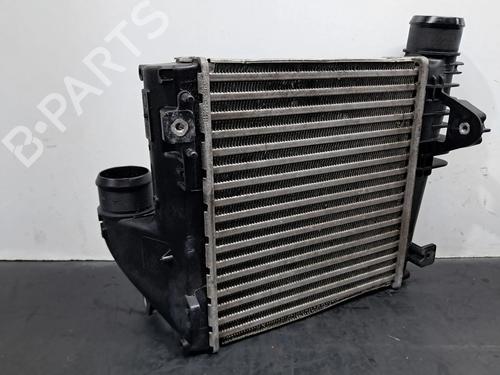 Intercooler DS DS 7 Crossback (J4_, JR_, JC_) 2.0 BlueHDi 180 (JJEHZR) | BP29811833M30 