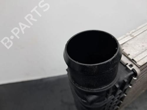 Intercooler DS DS 7 Crossback (J4_, JR_, JC_) 2.0 BlueHDi 180 (JJEHZR) | BP29811833M30 