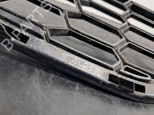 Grille BMW X4 (G02, F98) M Competition | BP29878394C40