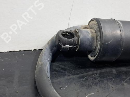 Tailgate lift support TOYOTA RAV 4 V (_A5_, _H5_) 2.5 Hybrid AWD (AXAP54, AXAP54L) | BP29936320C138