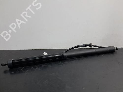 Used Tailgate lift support TOYOTA RAV 4 V (_A5_, _H5_) 2.5 Hybrid AWD (AXAP54, AXAP54L) (306 hp) 29936321