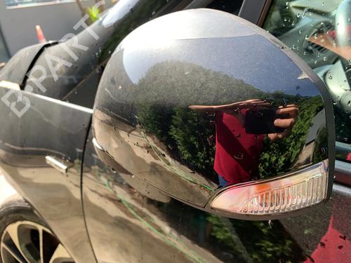 Left mirror RENAULT SCÉNIC III (JZ0/1_) 1.6 dCi (JZ00, JZ12) | BP29942632C26