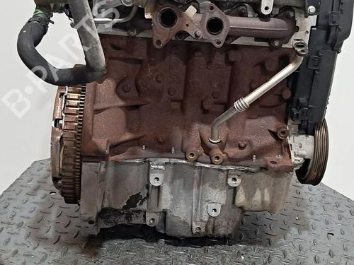 Motor RENAULT CLIO III (BR0/1, CR0/1) 1.5 dCi (BR17, CR17) | BP30053260M1 