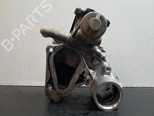 Egr DACIA SANDERO II 1.5 dCi 75 / Blue dCi 75 (B8JW, B8M4, B8AH, B8M7, B8M6) | BP30194294M69