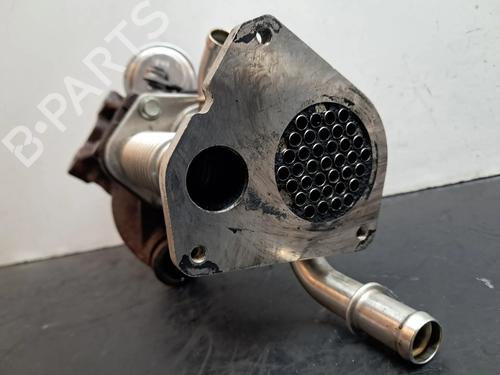 Egr DACIA SANDERO II 1.5 dCi 75 / Blue dCi 75 (B8JW, B8M4, B8AH, B8M7, B8M6) | BP30194296M69