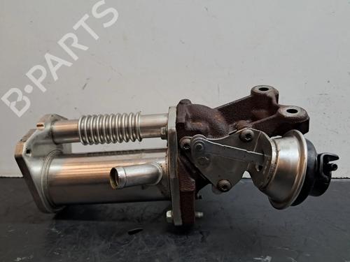 Egr DACIA SANDERO II 1.5 dCi 75 / Blue dCi 75 (B8JW, B8M4, B8AH, B8M7, B8M6) | BP30194296M69
