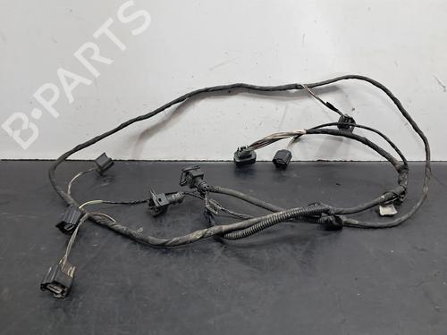 Used Wiring harness RENAULT SCÉNIC III (JZ0/1_) 1.6 dCi (JZ00, JZ12) (130 hp) 30260680