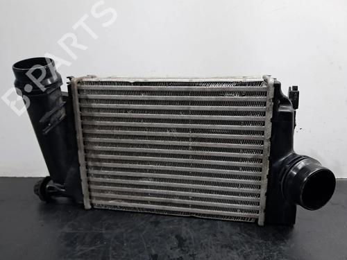 Used Intercooler RENAULT KADJAR (HA_, HL_) 1.5 dCi 110 (HLA3) (110 hp) 30325156