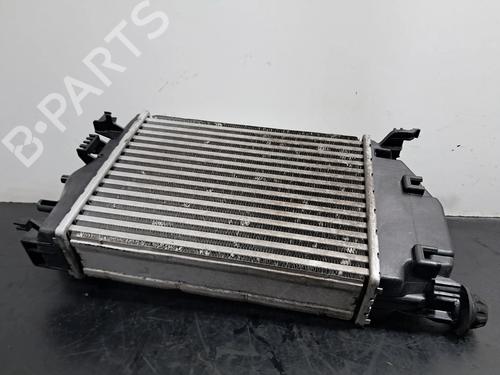 Intercooler RENAULT KADJAR (HA_, HL_) 1.5 dCi 110 (HLA3) | BP30325156M30  - Image 5