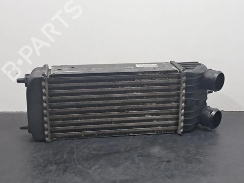 Used Intercooler PEUGEOT 207 SW (WK_) 1.6 HDi (90 hp) 30489244