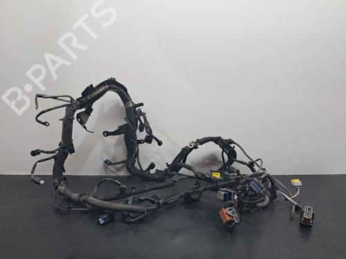 Used Wiring harness PEUGEOT 207 SW (WK_) 1.6 HDi (90 hp) 30490685