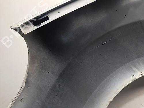 Right front fenders RENAULT KANGOO Express (FW0/1_) 1.5 dCi 70 (FW0A, KW0V) | BP30578708C42 