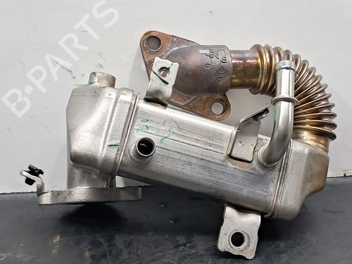 Egr RENAULT TRAFIC III Van (FG_) 1.6 dCi 120 (FGMK) | BP30805996M69 