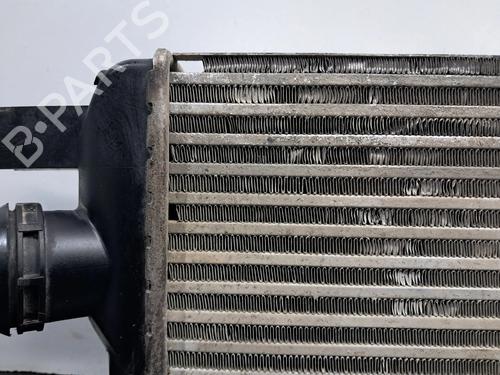 Intercooler DACIA SANDERO II 1.5 dCi 75 / Blue dCi 75 (B8JW, B8M4, B8AH, B8M7, B8M6) | BP30838894M30 