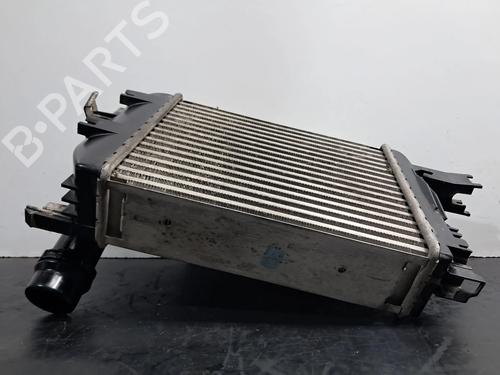 Intercooler DACIA SANDERO II 1.5 dCi 75 / Blue dCi 75 (B8JW, B8M4, B8AH, B8M7, B8M6) | BP30838894M30 