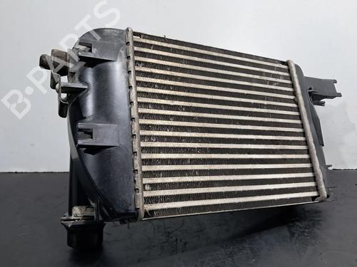 Intercooler DACIA SANDERO II 1.5 dCi 75 / Blue dCi 75 (B8JW, B8M4, B8AH, B8M7, B8M6) | BP30838894M30 