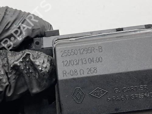 Electronic module DACIA SANDERO II 1.5 dCi 75 / Blue dCi 75 (B8JW, B8M4, B8AH, B8M7, B8M6) | BP30838896M83