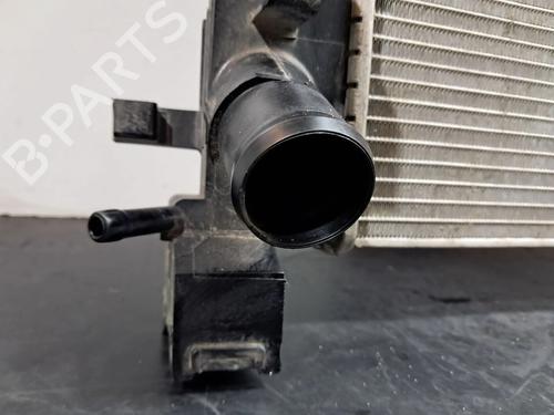 Køler DACIA SANDERO II 1.5 dCi 75 / Blue dCi 75 (B8JW, B8M4, B8AH, B8M7, B8M6) | BP30858811M31