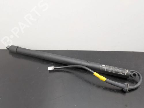 Gasdæmper bagklap TOYOTA RAV 4 V (_A5_, _H5_) 2.5 Hybrid AWD (AXAH54, AXAL54) (222 hp) 31687562