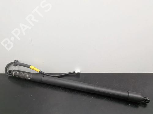 Tailgate lift support TOYOTA RAV 4 V (_A5_, _H5_) 2.5 Hybrid AWD (AXAH54, AXAL54) | BP31687562C138 