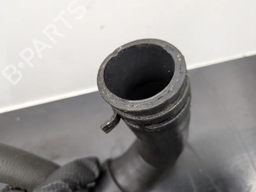 Pipe RENAULT MEGANE III Hatchback (BZ0/1_, B3_) 1.5 dCi (BZ09, BZ0D, BZ1W, BZ29, BZ14) | BP32137526M125 