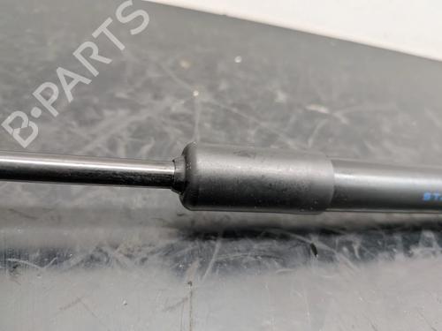 Hood lift support LEXUS NX II (_A2_, _H2_) 450h+ E-Four (AAZH26) | BP32167756C139 