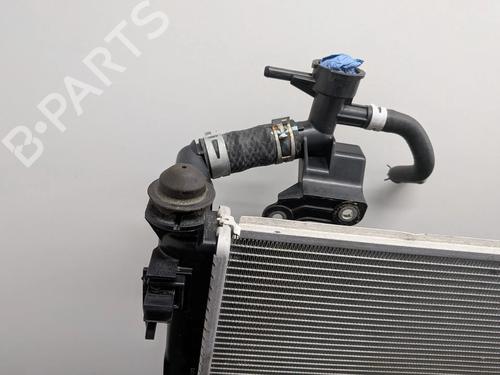 Water radiator LEXUS NX II (_A2_, _H2_) 450h+ E-Four (AAZH26) | BP32167764M31