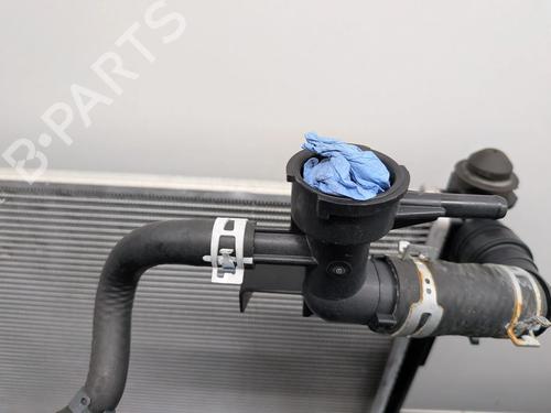 Water radiator LEXUS NX II (_A2_, _H2_) 450h+ E-Four (AAZH26) | BP32167764M31