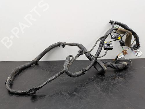 Wiring harness RENAULT KOLEOS I (HY_) 2.0 dCi 4x4 (HY0K) | BP32508643E16 - Image 6