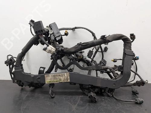 Used Wiring harness Wiring harness MERCEDES-BENZ CLS (C218) CLS 250 CDI / BlueTEC / d (218.303, 218.304) (204 hp) 33241339 33241339