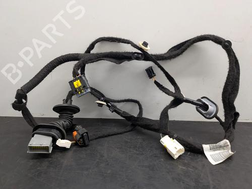 Ledningsnett Ledningsnett CITROËN C4 Picasso II 2.0 BlueHDi 150 (150 hp) 33607987 33607987