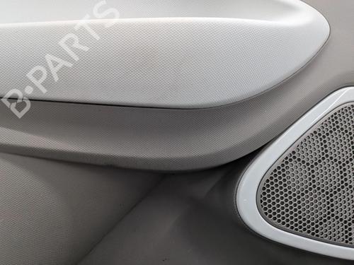 Front left panel RENAULT ZOE (BFM_) ZOE | BP33706202C58  - Image 9