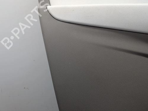 Front left panel RENAULT ZOE (BFM_) ZOE | BP33706202C58  - Image 8