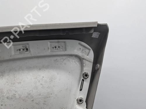 Front left panel RENAULT ZOE (BFM_) ZOE | BP33706202C58  - Image 18