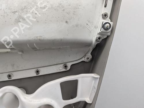 Front left panel RENAULT ZOE (BFM_) ZOE | BP33706202C58  - Image 19