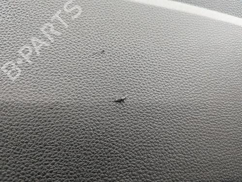 Front right panel DACIA JOGGER (RK_) 1.0 TCe 110 (RKMD) | BP33819038C59 - Image 16