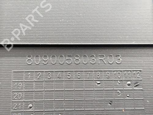 Front right panel DACIA SPRING EV (B6M1) | BP33857245C59  - Image 31