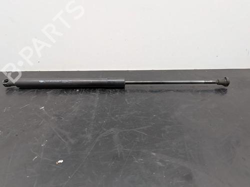 tailgate-lift-support-citroen-c3-ii-sc_-2009-34392471 main image
