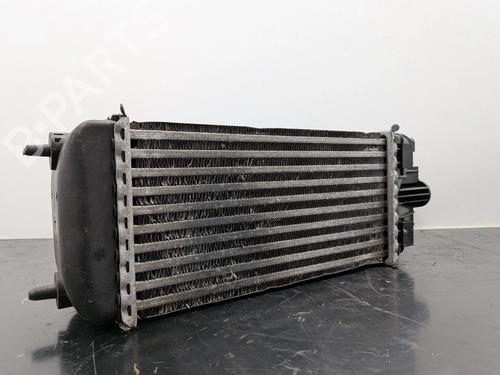 Intercooler Intercooler CITROËN C3 II (SC_) 1.6 HDi (92 hp) 34398069 34398069