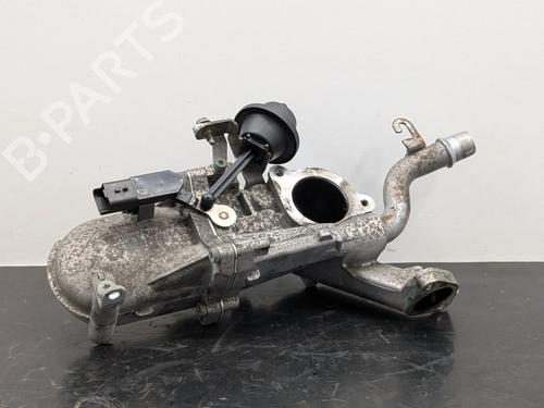 Egr Egr CITROËN C3 II (SC_) 1.6 HDi (92 hp) 34441953 34441953