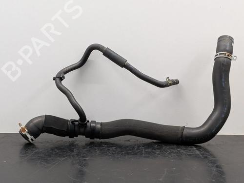 Rohr für Rohr RENAULT SCÉNIC III (JZ0/1_) 1.9 dCi (JZ0J, JZ1J, JZ1K, JZ1S) (131 hp) 35952345 35952345