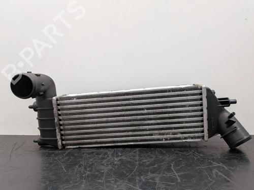 Used Intercooler Intercooler LANCIA PHEDRA (179_) 2.2 JTD (179AXC1A) (128 hp) 36003743 36003743