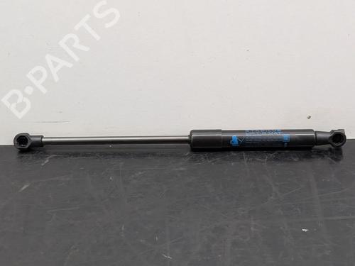 hood-lift-support-renault-trafic-iii-van-fg_-2014-36158142 main image