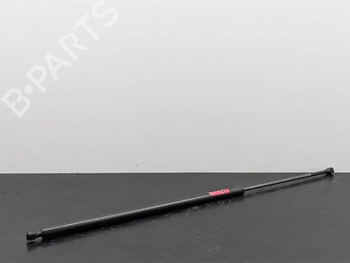 tailgate-lift-support-renault-trafic-iii-van-fg_-2014-36185330 main image