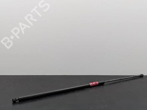 tailgate-lift-support-renault-trafic-iii-van-fg_-2014-36185331 main image