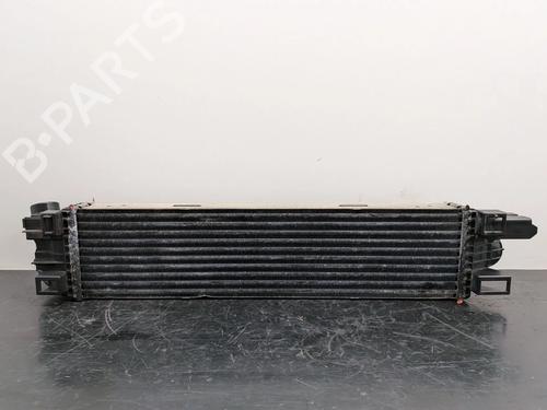 Intercooler Intercooler RENAULT TRAFIC III Van (FG_) 1.6 dCi 115 (FGMD) (116 hp) 36305166 36305166